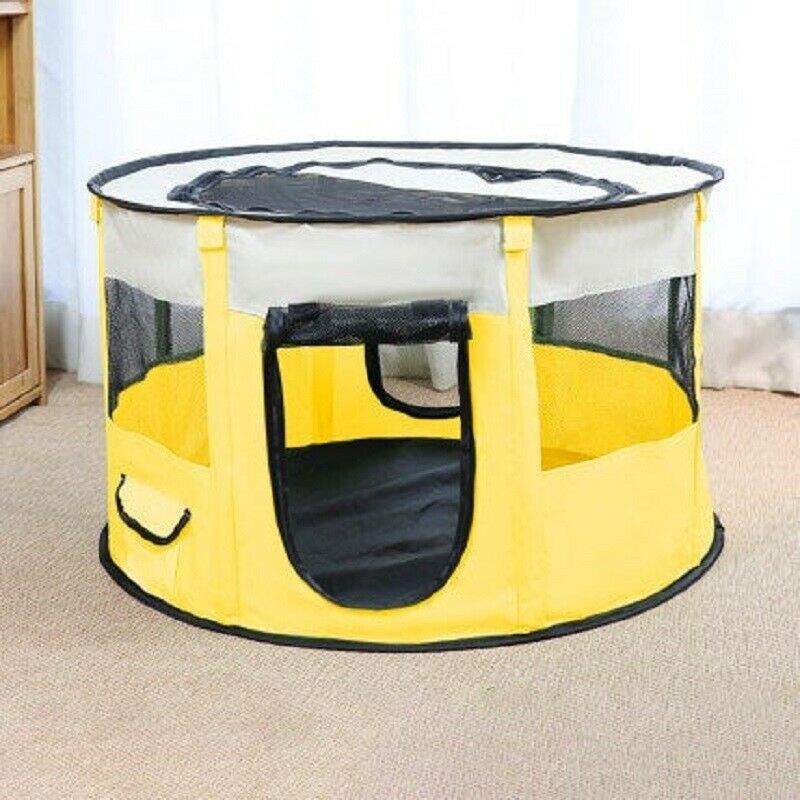 Haushundezuchtbox