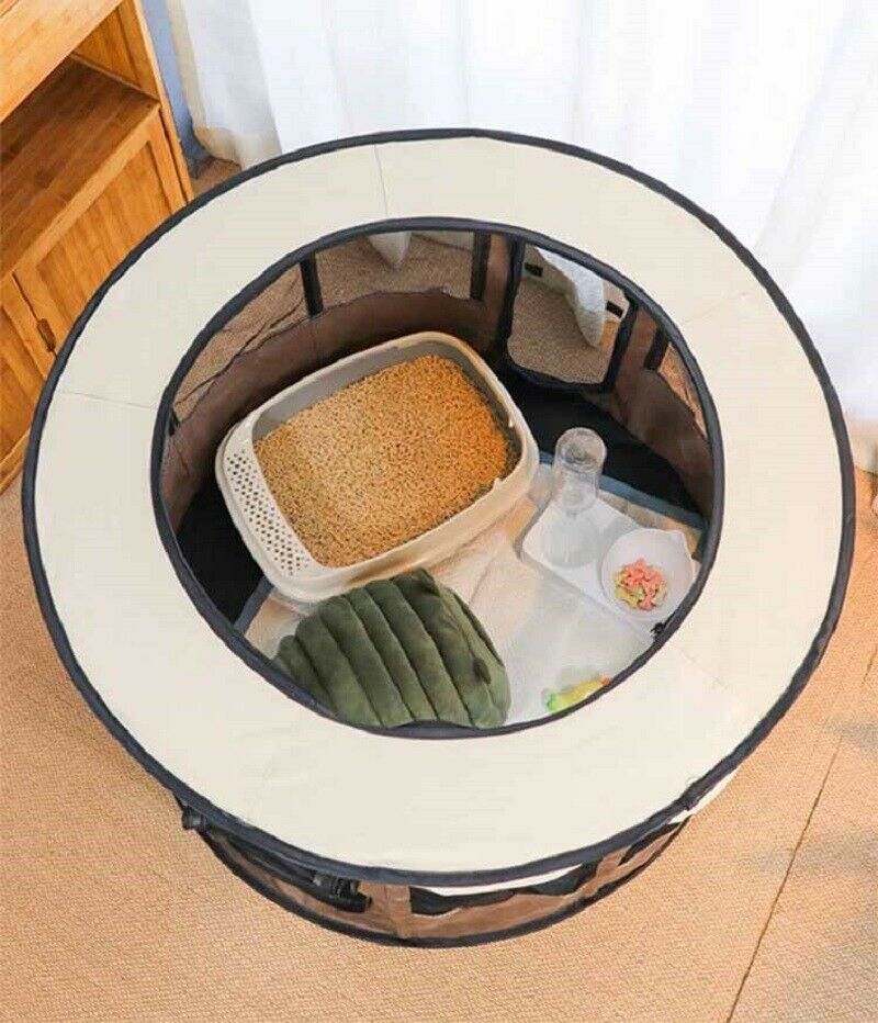 Haushundezuchtbox